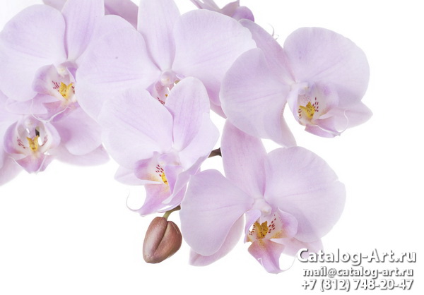 Натяжные потолки с фотопечатью - Розовые орхидеи 52
